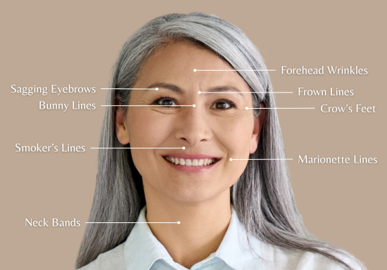 Enhance Brow Shape