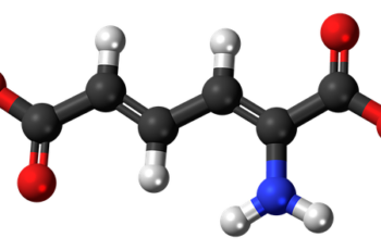 What You Need to Know About Metabolism