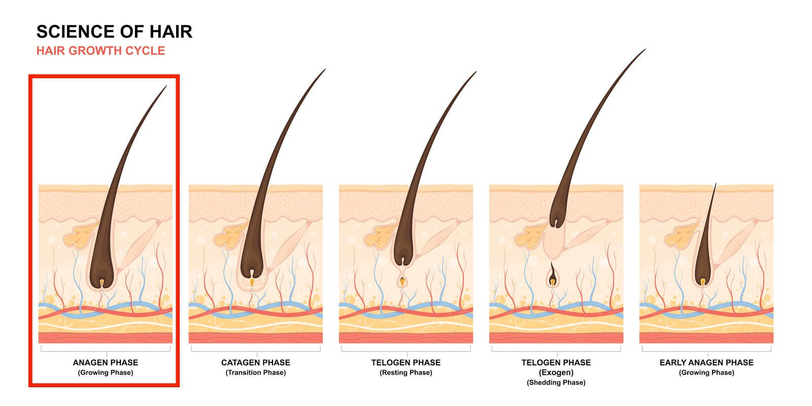 Is There a Permanent Way to Remove Unwanted Hair? - Cutis