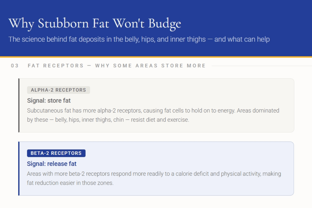Fat Location and Storage