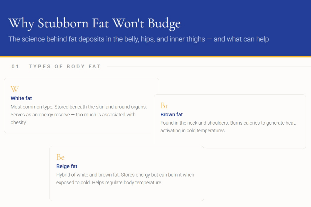 Stubborn Fat