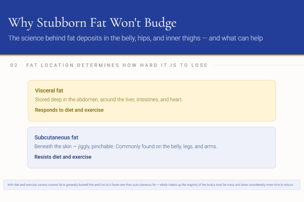 Types of Body Fat